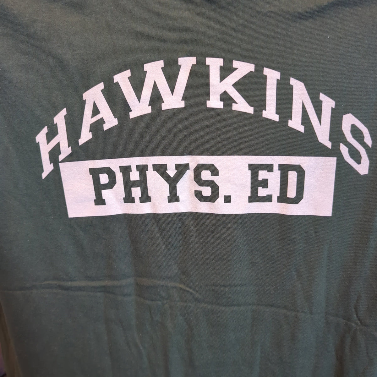 Stranger Things Hawkins High School Physical Education T-shirt